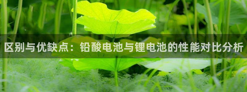 凯时k66官方发布