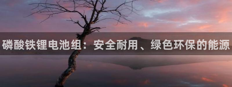 尊龙D88现金旧版：磷酸铁锂电池组：安全耐用、绿色环保的能源