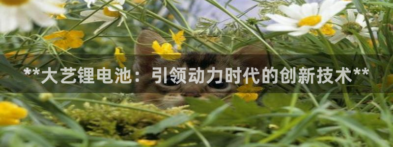 尊龙凯时人生就是搏首页：**大艺锂电池：引领动力时代的创新技术**