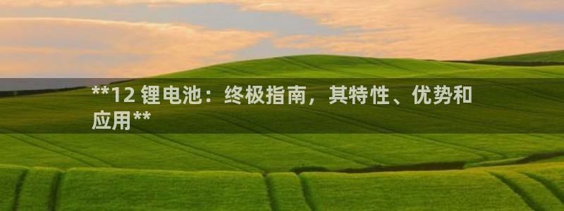 尊龙凯时干什么的：**12 锂电池：终极指南，其特性、优势和
应用**