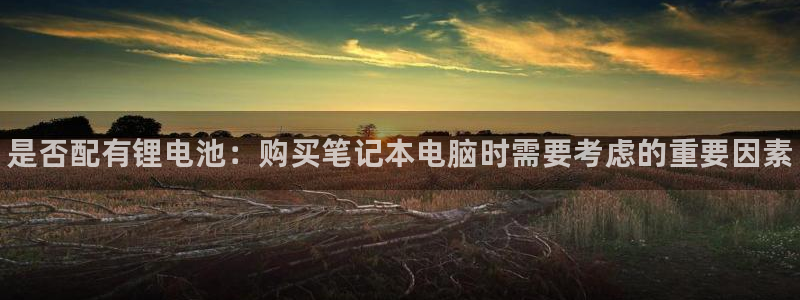 尊龙凯时为什么不封：是否配有锂电池：购买笔记本电脑时需要考虑的重要因素