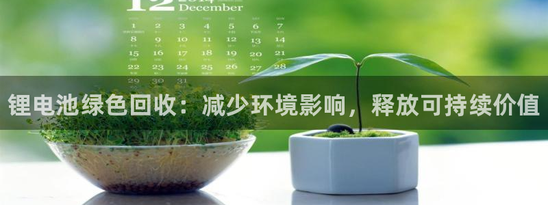 尊龙凯时充值不到账：锂电池绿色回收：减少环境影响，释放可持续价值