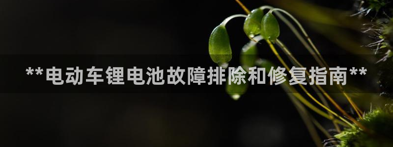 尊龙凯时官网入口：**电动车锂电池故障排