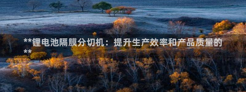 凯时kb88官网网址：**锂电池隔膜分切