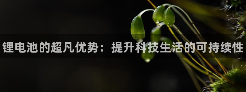 尊龙凯时的生产设备：锂电池的超凡优势：提升科技生活的可持续性