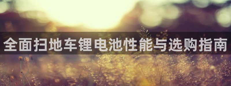 尊龙凯时取款不成功