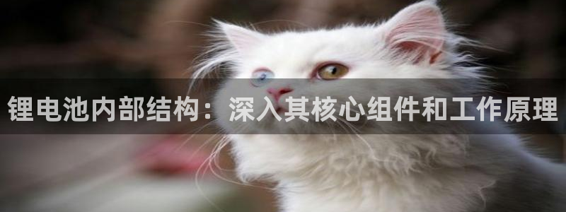 尊龙凯时ag旗舰厅官网客服