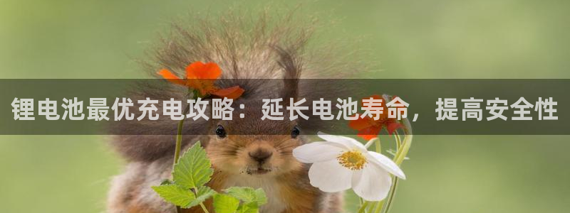 尊龙凯时官网网页版