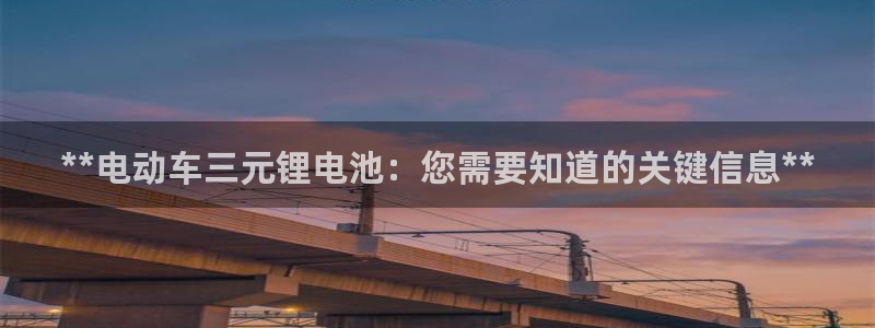 z6尊龙z6