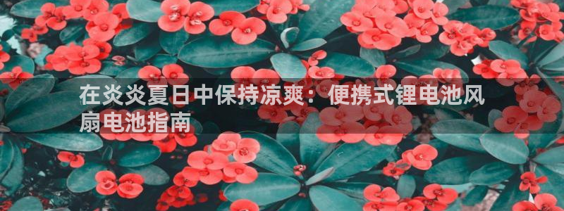 ag尊龙怎么样