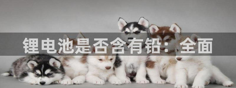 尊龙凯时输钱的原因