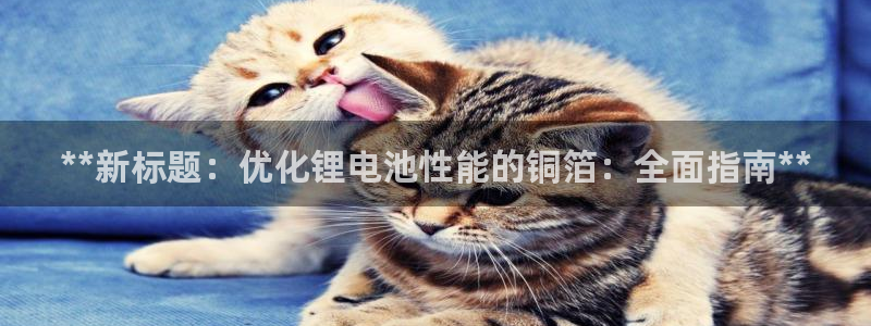 尊龙z6.con