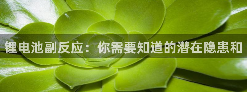 尊龙凯时app产品介绍
