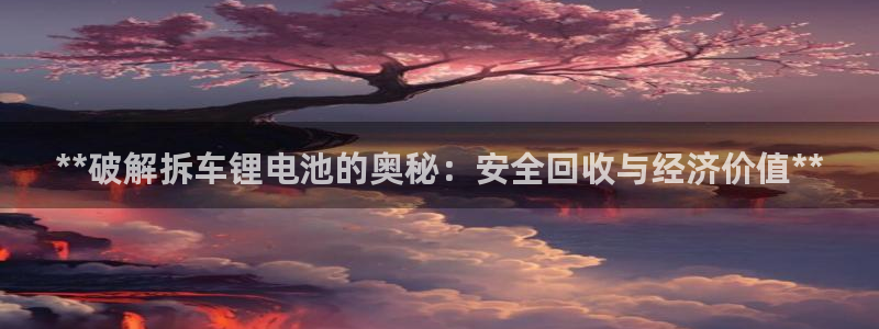 尊龙凯时网站怎么样