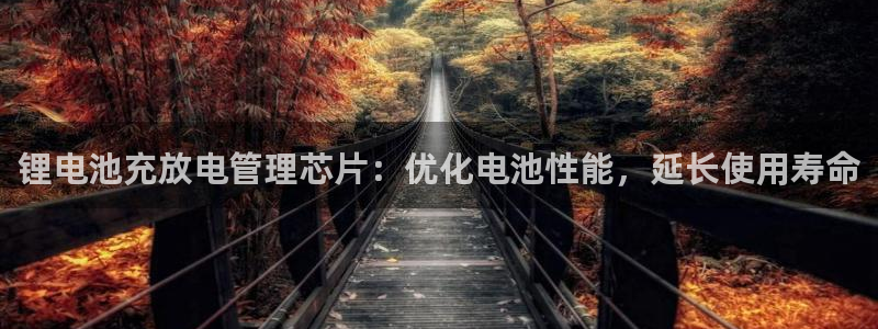 尊龙ag旗舰官网