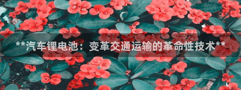 尊龙游戏app官方网站