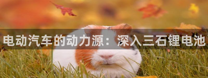 尊龙app最新版本官网