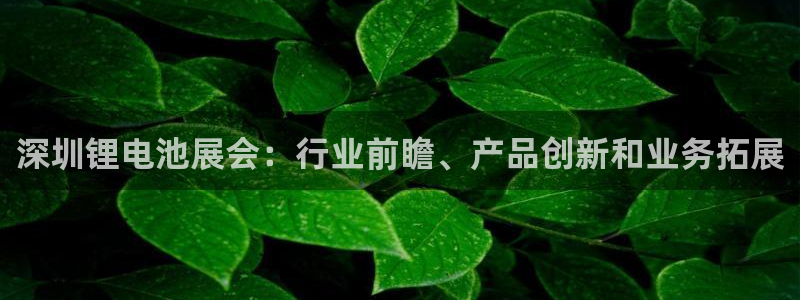 凯时国际app首页