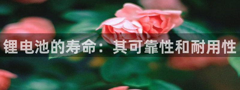 尊龙凯时口碑好吗