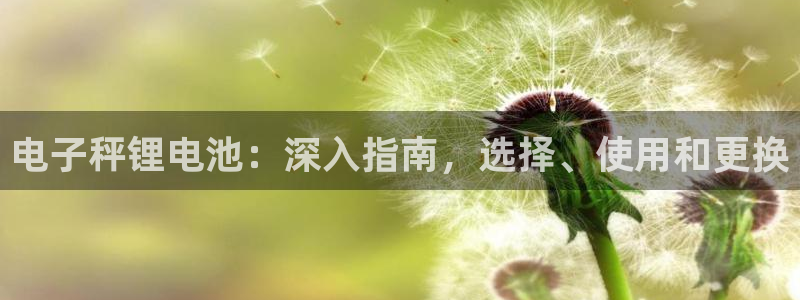 凯时旗舰厅App下载