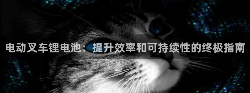 尊龙凯时 人生就是搏!平台