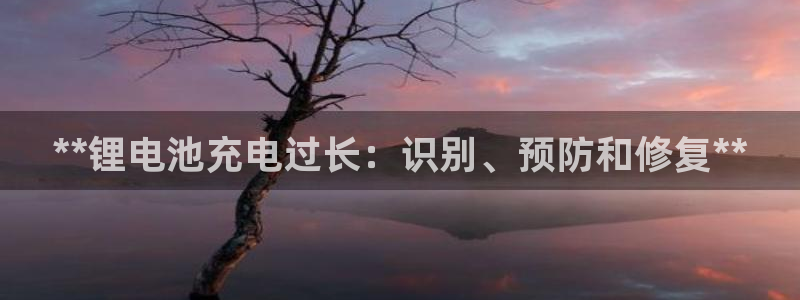 z6尊龙z6