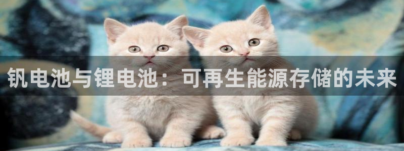z6尊龙凯时