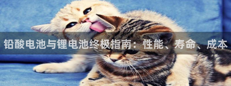 尊龙人生就是博手机版下载