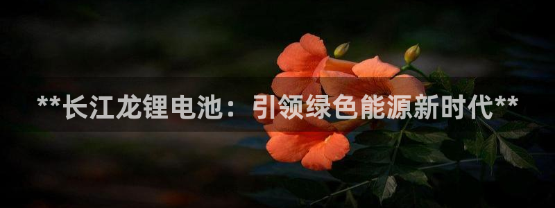 尊龙凯时登入首页