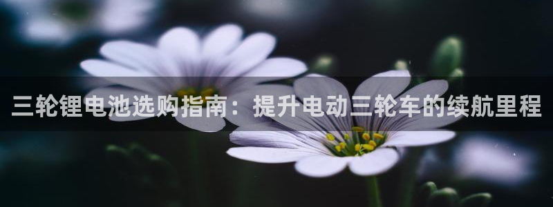凯时平台怎么样