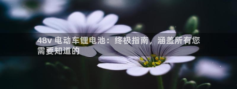 尊龙凯时官网首页