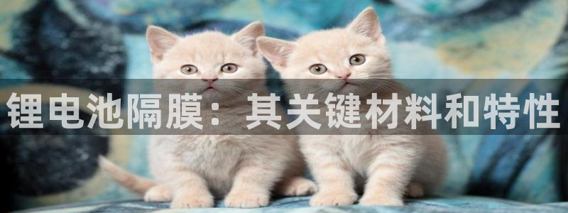 尊龙t500和t300区别