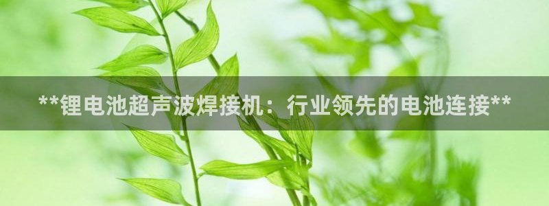 尊龙凯时电竞