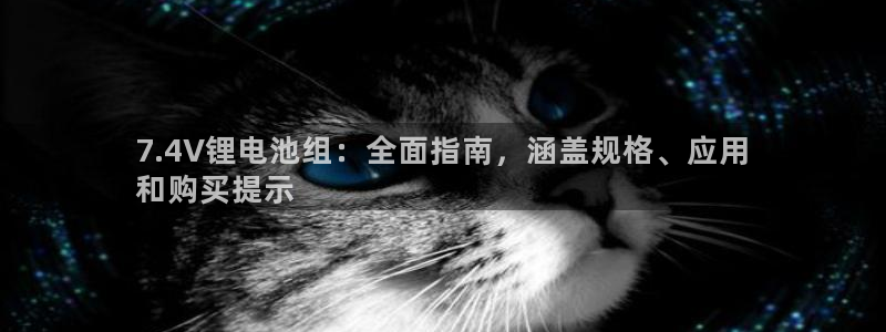 尊龙凯时处理未到账