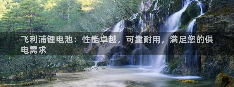 尊龙官网免费下载安装