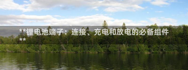 尊龙凯时ag旗舰厅登陆