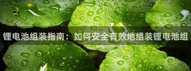 尊龙人生就是博旧版现