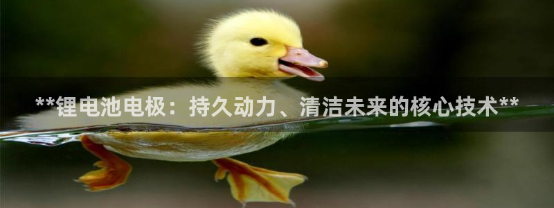 尊龙网站下分慢