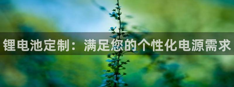 Z6尊龙老版