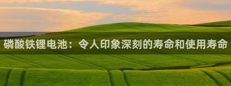 尊龙凯时能做退米么