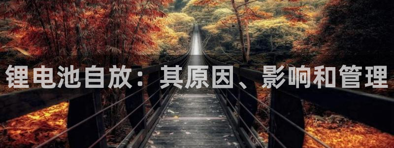 尊龙人生就是博首页入口