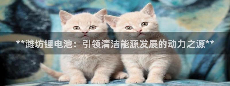 下载尊龙app