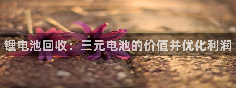 凯时k66官网登录