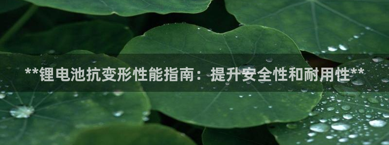 z6尊龙平台是哪里的