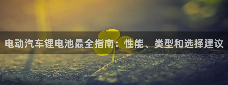 尊龙一人生就是博电子游戏