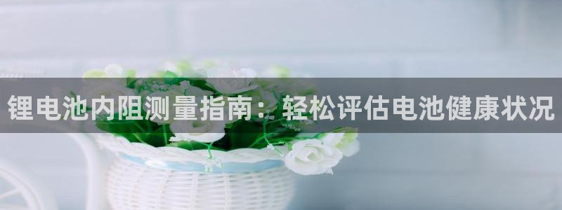 尊龙凯时手机版·(中国)官方网站