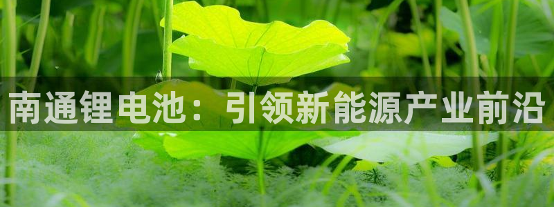 尊龙人生就是博首页入口