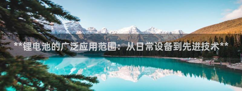 尊龙凯时-人生就是博中国官网首页