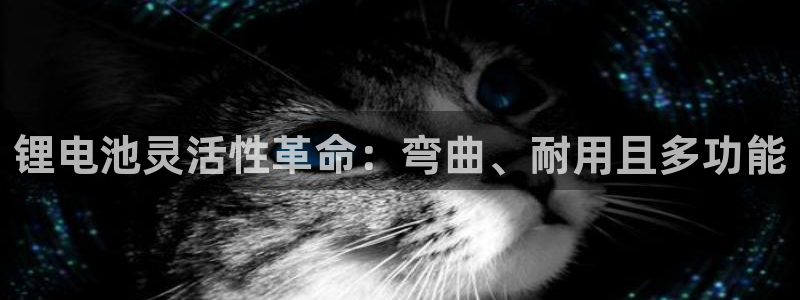 z6com尊龙凯时