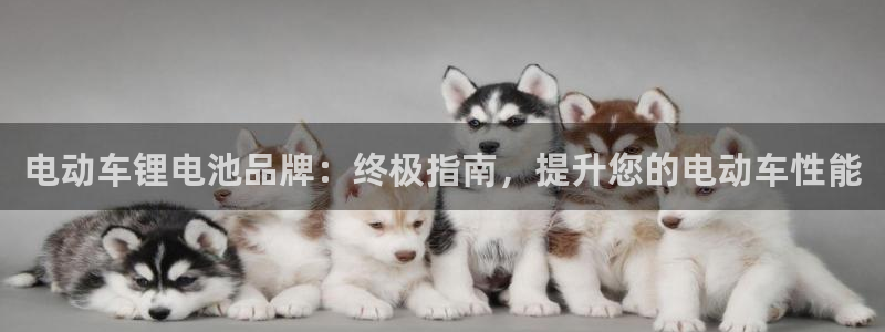 尊龙新版手机app下载